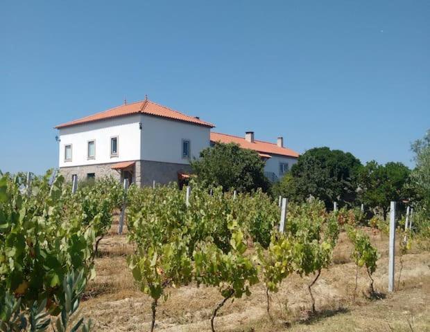 Willa Quinta De Vodra Seia Zewnętrze zdjęcie