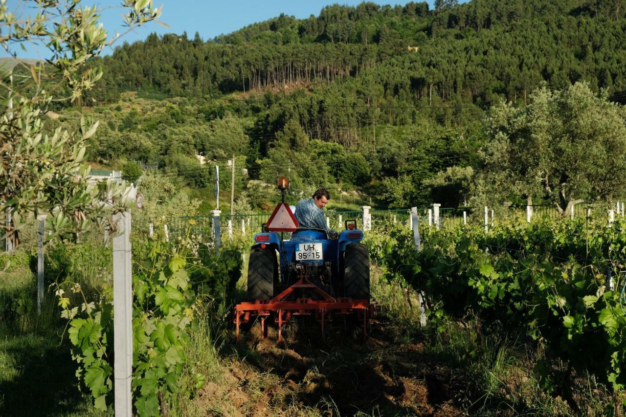 Willa Quinta De Vodra Seia Zewnętrze zdjęcie